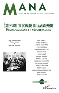 Image de Extension du domaine du management