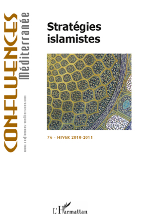 Image de Stratégies islamistes