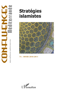 Image de Stratégies islamistes
