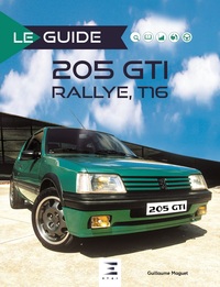 Image de 205 GTI rallye, T16