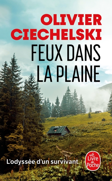 Image de Feux dans la plaine
