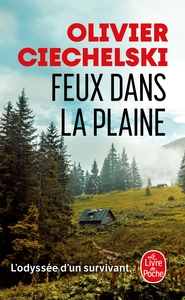 Image de Feux dans la plaine