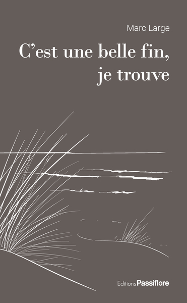 Image de C'EST UNE BELLE FIN, JE TROUVE