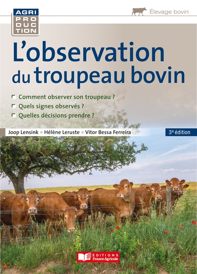 Image de L'observation du troupeau bovin