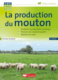Image de La production du mouton