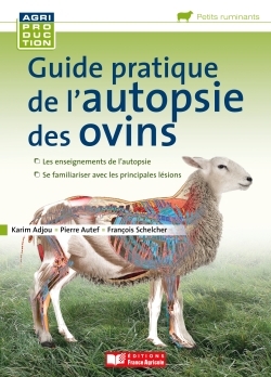 Image de Guide pratique de l'autopsie des ovins