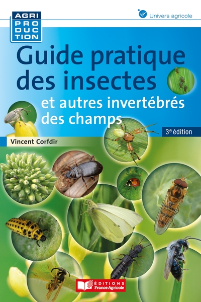 Image de Guide pratique des insectes