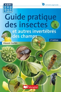 Image de Guide pratique des insectes