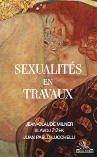 Image de Sexualités en travaux