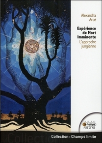 Image de Expérience de Mort Imminente - L'approche jungienne
