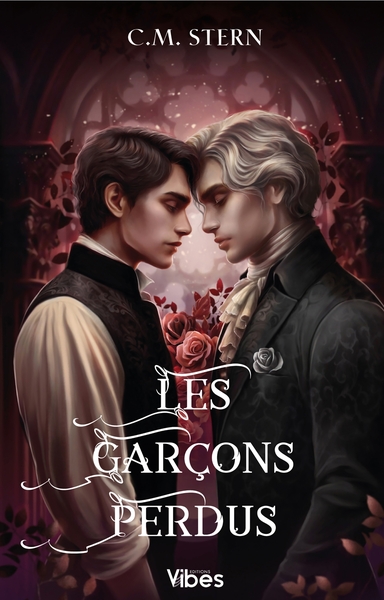 Image de Les garçons perdus T2