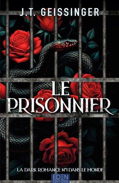 Picture of Le prisonnier