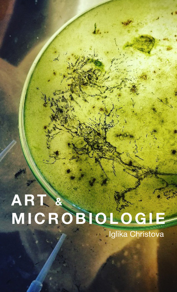 Image de Art & Microbiologie