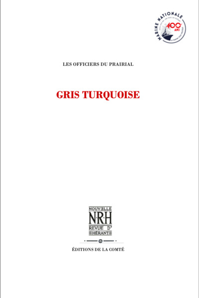 Image de GRIS TURQUOISE