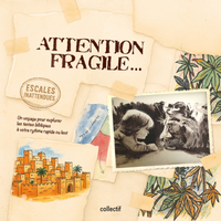 Image de Attention fragile