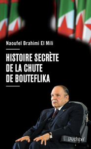 Image de Histoire secrète de la chute de Bouteflika