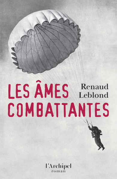 Picture of Les âmes combattantes