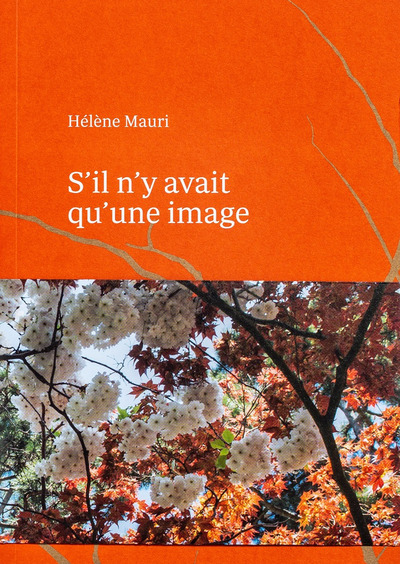 Image de S'il n'y avait qu'une image
