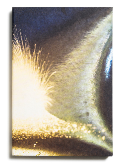 Image de Echoes of nature