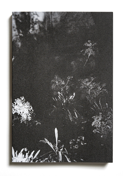 Image de Le Jardin d'après