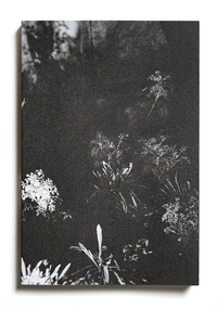 Image de Le Jardin d'après