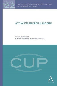 Image de ACTUALITÉS EN DROIT JUDICIAIRE