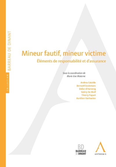 Picture of mineur fautif, mineur victime