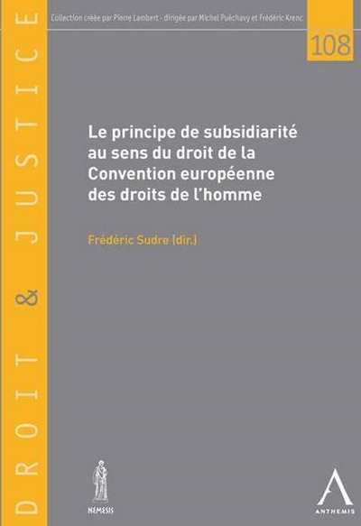 Picture of le principe de subsidiarité au sens de la cedh
