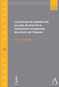 Picture of le principe de subsidiarité au sens de la cedh