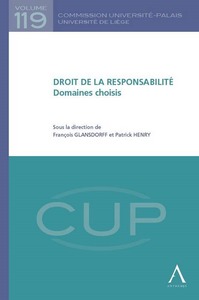 Image de DROIT DE LA RESPONSABILITÉ - DOMAINES CHOISIS
