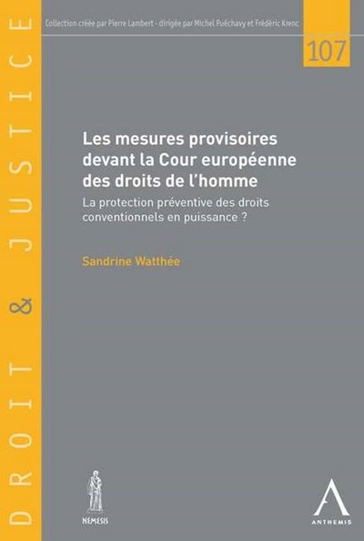 Picture of les mesures provisoires devant la cour européenne des droits de l'homme
