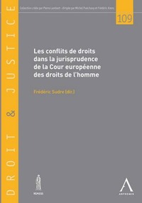 Picture of LES CONFLITS DE DROITS DANS LA JURISPRUDENCE DE LA CEDH