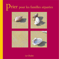 Picture of Prier pour les familles séparées