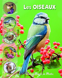 Image de Les oiseaux