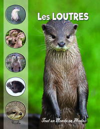 Image de Les loutres