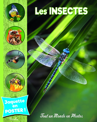 Image de Les insectes