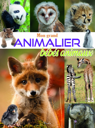 Picture of Mon grand animalier des bébés animaux