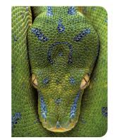 Picture of Serpent