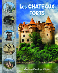 Image de Les châteaux forts