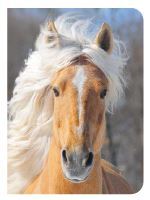 Picture of Cheval