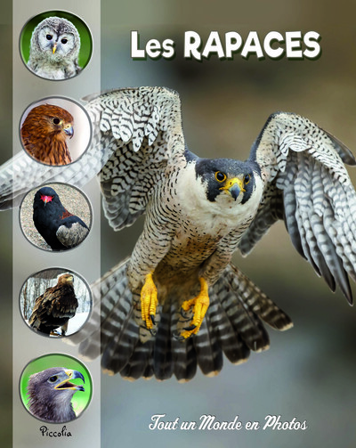Picture of Les rapaces