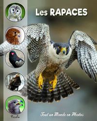 Picture of Les rapaces