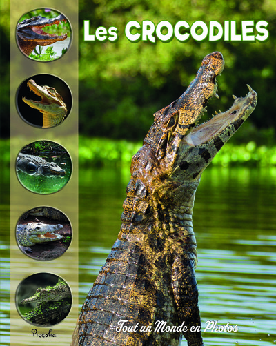 Image de Les crocodiles