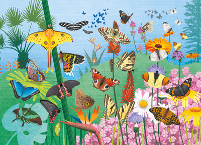 Image de Les papillons / puzzle