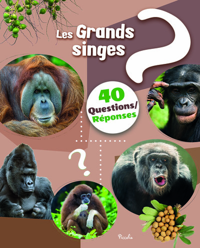 Image de Les grands singes - 40 questions / réponses