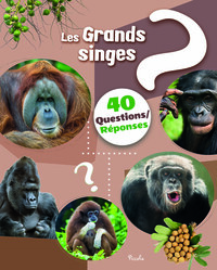 Image de Les grands singes - 40 questions / réponses