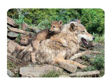 Picture of Loup - Puzzle photo
