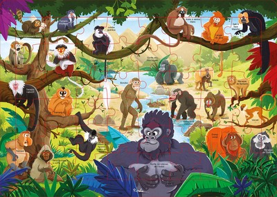 Picture of Les singes