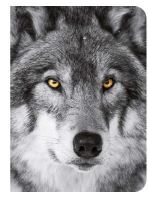 Picture of Loup