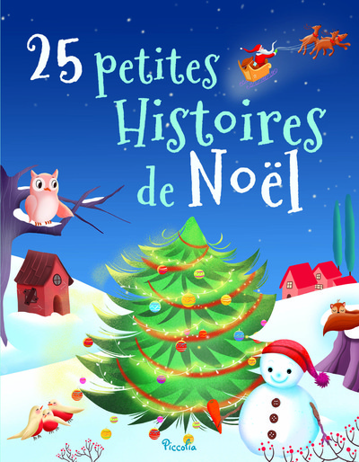 Picture of 25 petites histoires de Noël